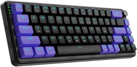 Kreo Hive 65 RGB Mechanical Gaming Keyboard | Pre-Lubed Switches, Anti-Ghosting, 5-Pin Hot-Swap | Wired 65% Keyboard with RGB Backlight & Detachable USB-C Cable (Black)